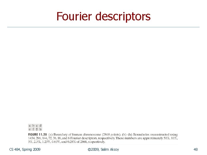 Fourier descriptors CS 484, Spring 2009 © 2009, Selim Aksoy 48 