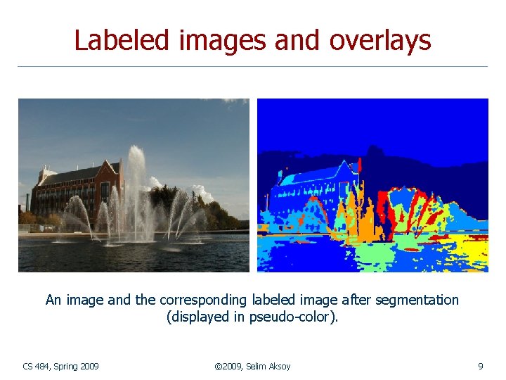 Labeled images and overlays An image and the corresponding labeled image after segmentation (displayed