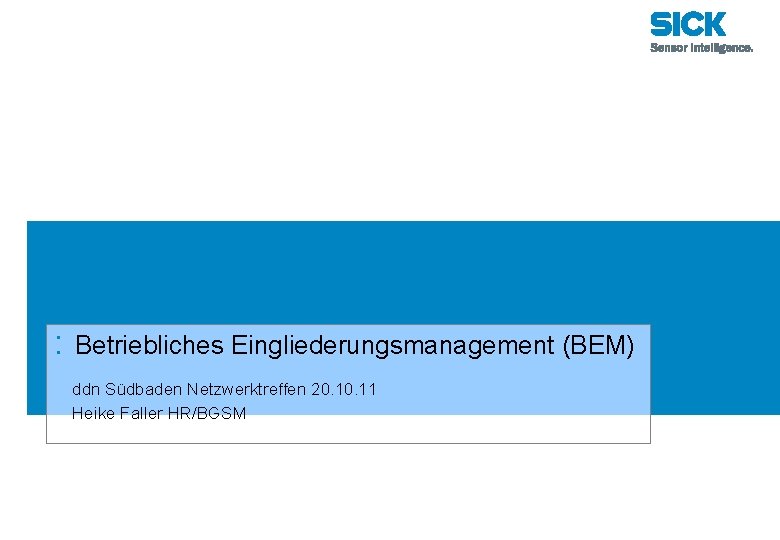 : Betriebliches Eingliederungsmanagement (BEM) ddn Südbaden Netzwerktreffen 20. 11 Heike Faller HR/BGSM 