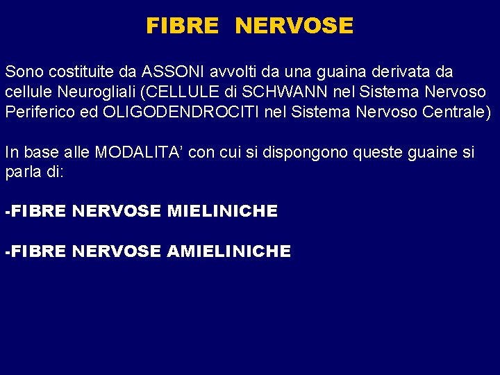 FIBRE NERVOSE Sono costituite da ASSONI avvolti da una guaina derivata da cellule Neurogliali FIBRE NERVOSE Sono costituite da ASSONI avvolti da una guaina derivata da cellule Neurogliali