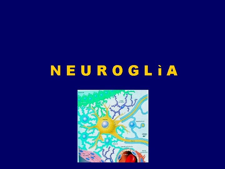 NEUROGLìA NEUROGLìA