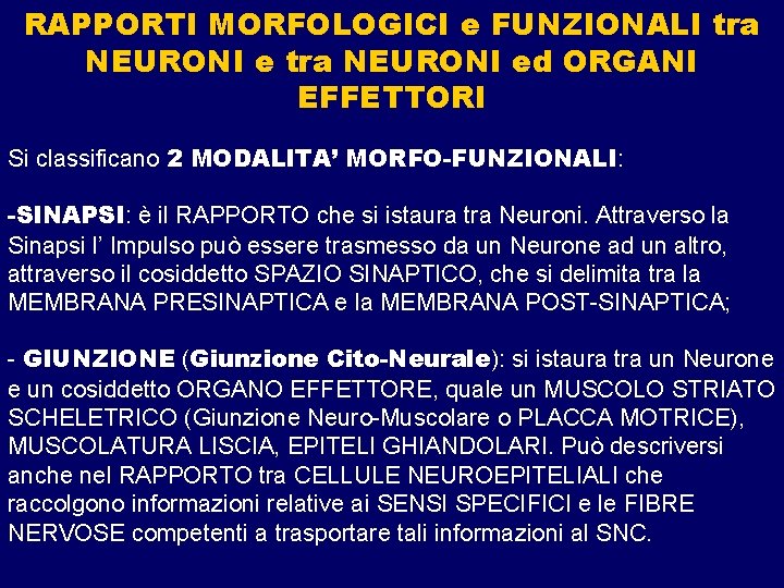 RAPPORTI MORFOLOGICI e FUNZIONALI tra NEURONI ed ORGANI EFFETTORI Si classificano 2 MODALITA’ MORFO-FUNZIONALI: RAPPORTI MORFOLOGICI e FUNZIONALI tra NEURONI ed ORGANI EFFETTORI Si classificano 2 MODALITA’ MORFO-FUNZIONALI: