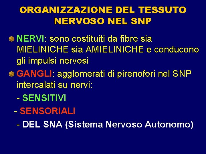 ORGANIZZAZIONE DEL TESSUTO NERVOSO NEL SNP NERVI: sono costituiti da fibre sia MIELINICHE sia ORGANIZZAZIONE DEL TESSUTO NERVOSO NEL SNP NERVI: sono costituiti da fibre sia MIELINICHE sia
