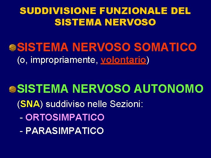 SUDDIVISIONE FUNZIONALE DEL SISTEMA NERVOSO SOMATICO (o, impropriamente, volontario) volontario SISTEMA NERVOSO AUTONOMO (SNA) SUDDIVISIONE FUNZIONALE DEL SISTEMA NERVOSO SOMATICO (o, impropriamente, volontario) volontario SISTEMA NERVOSO AUTONOMO (SNA)