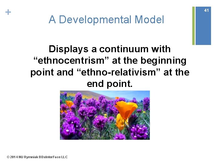 + 41 A Developmental Model Displays a continuum with “ethnocentrism” at the beginning point