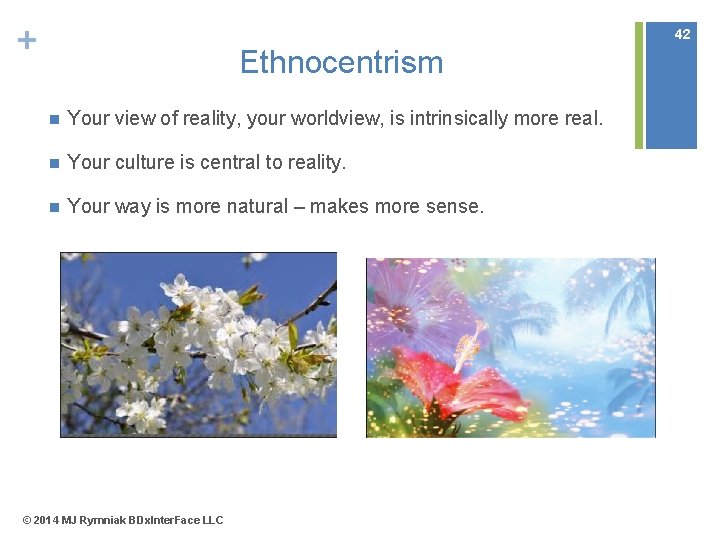 + 42 Ethnocentrism n Your view of reality, your worldview, is intrinsically more real.