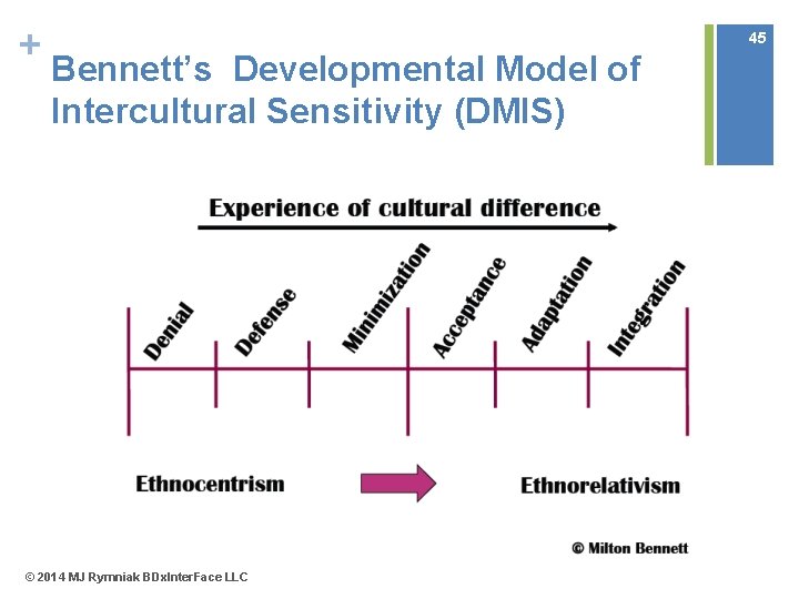 + 45 Bennett’s Developmental Model of Intercultural Sensitivity (DMIS) © 2014 MJ Rymniak BDx.