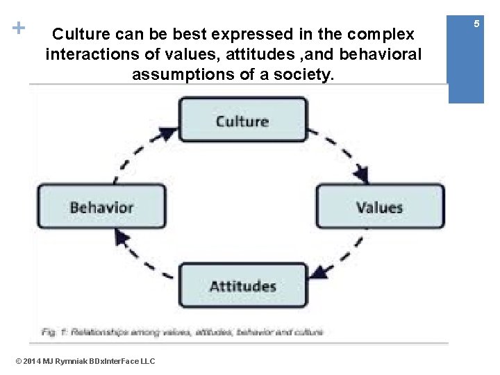 + Culture can be best expressed in the complex interactions of values, attitudes ,