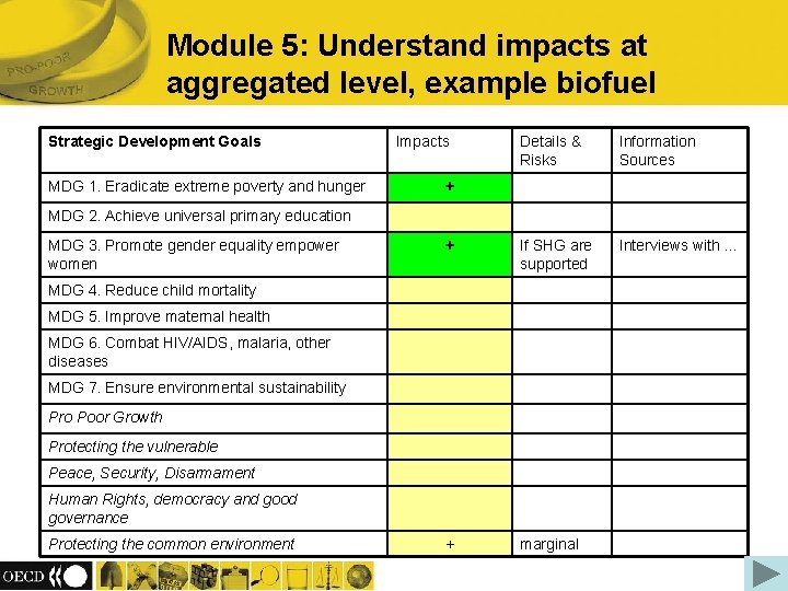 Module 5: Understand impacts at aggregated level, example biofuel Strategic Development Goals MDG 1.
