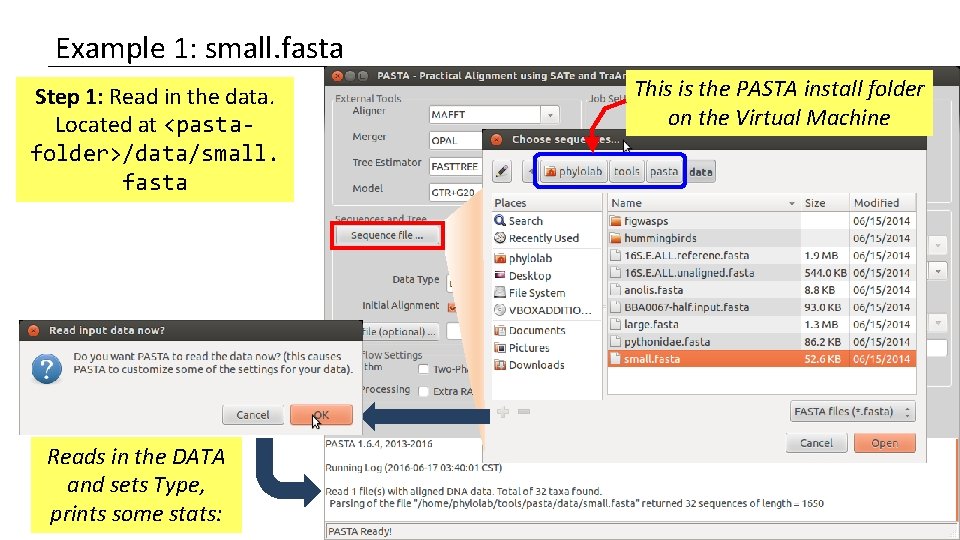 Example 1: small. fasta Step 1: Read in the data. Located at <pastafolder>/data/small. fasta