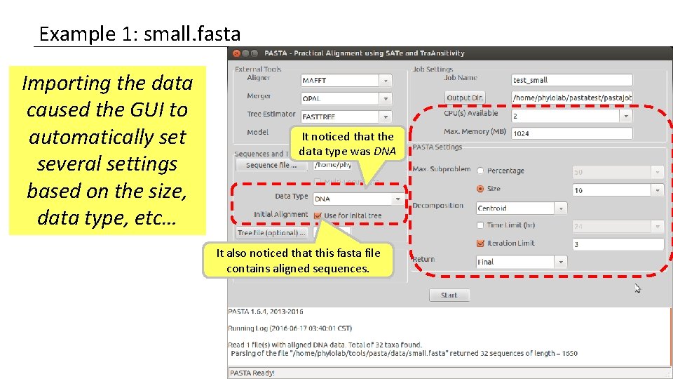 Example 1: small. fasta Importing the data caused the GUI to automatically set several