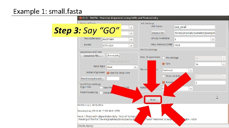 Example 1: small. fasta Step 3: Say “GO” 