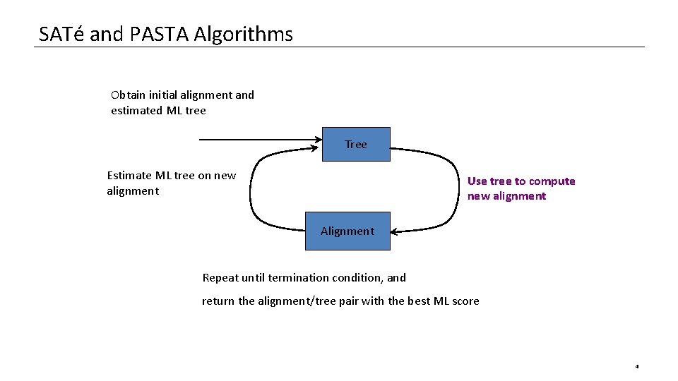 SATé and PASTA Algorithms Obtain initial alignment and estimated ML tree Tree Estimate ML