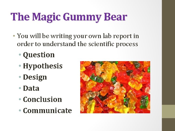 The Magic Gummy Bear • You will be writing your own lab report in