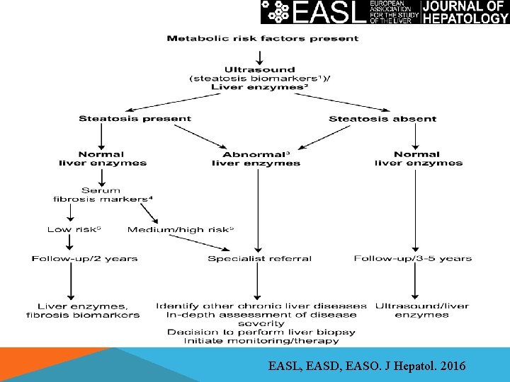 EASL, EASD, EASO. J Hepatol. 2016 