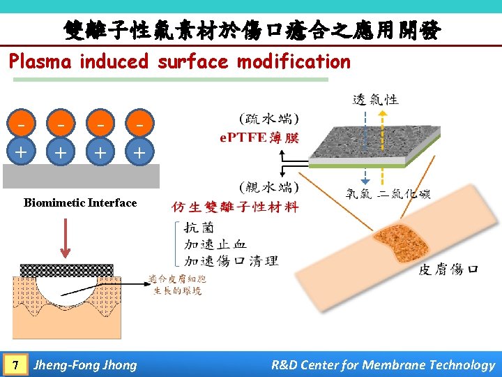 雙離子性氟素材於傷口癒合之應用開發 Plasma induced surface modification + + Biomimetic Interface 7 Jheng-Fong Jhong R&D Center