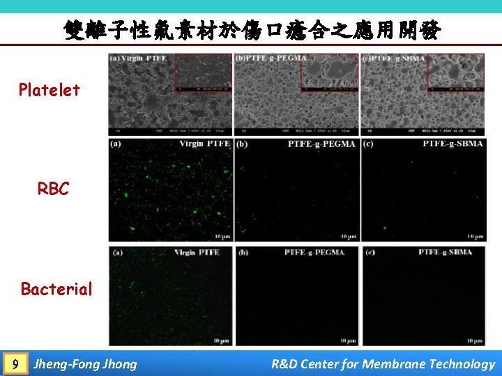 雙離子性氟素材於傷口癒合之應用開發 Platelet RBC Bacterial 9 Jheng-Fong Jhong R&D Center for Membrane Technology 