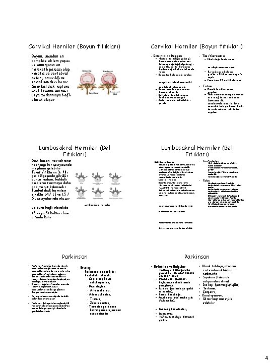 Cervikal Herniler (Boyun fıtıkları) • Boyun, vücudun en komplike eklem yapısı ve omurganın en