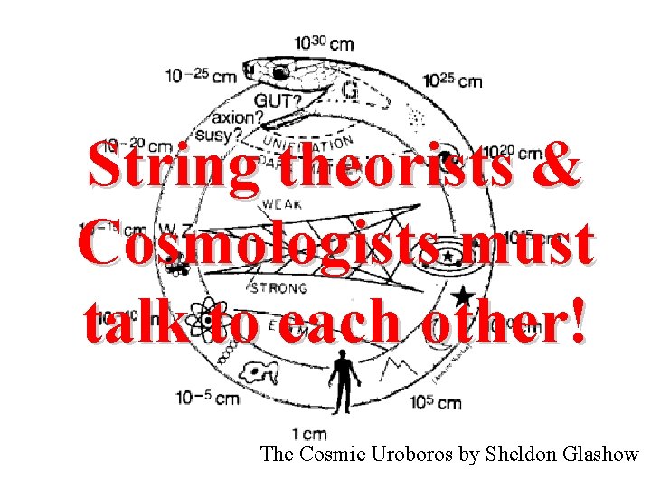 String theorists & Cosmologists must talk to each other! The Cosmic Uroboros by Sheldon