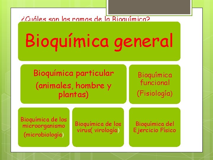 ¿Cuáles son las ramas de la Bioquímica? Bioquímica general Bioquímica particular (animales, hombre y