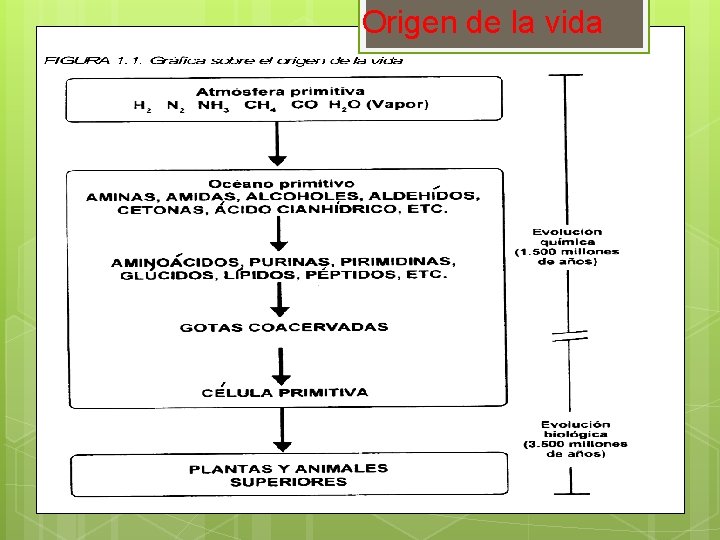 Origen de la vida 