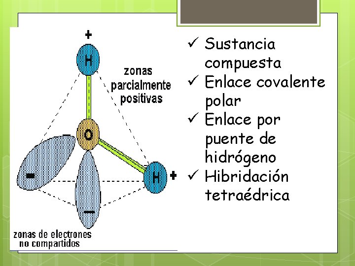 ü Sustancia compuesta ü Enlace covalente polar ü Enlace por puente de hidrógeno ü