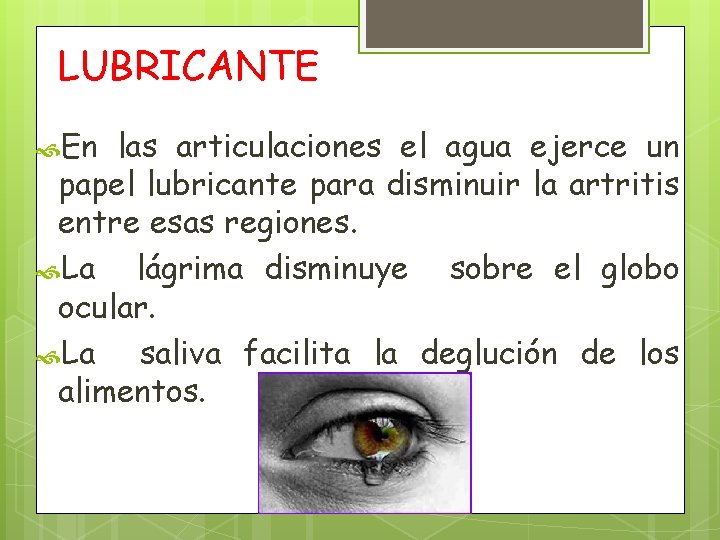 LUBRICANTE En las articulaciones el agua ejerce un papel lubricante para disminuir la artritis