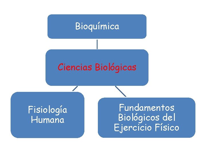 Bioquímica Ciencias Biológicas Fisiología Humana Fundamentos Biológicos del Ejercicio Físico 