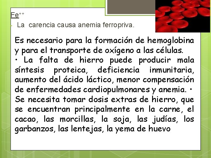 Fe++ - La carencia causa anemia ferropriva. Es necesario para la formación de hemoglobina