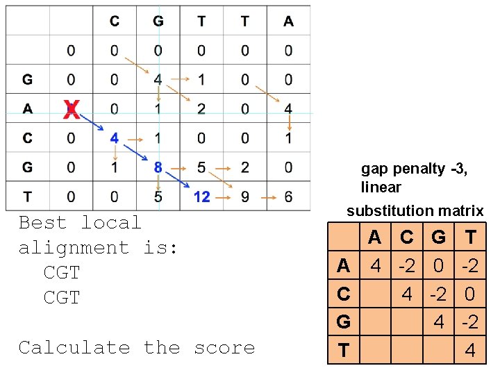 gap penalty -3, linear Best local alignment is: CGT Calculate the score substitution matrix