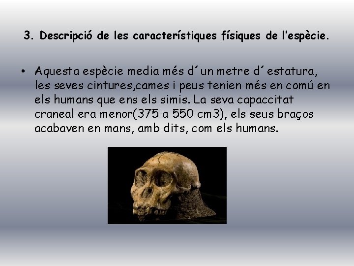 3. Descripció de les característiques físiques de l’espècie. • Aquesta espècie media més d´un