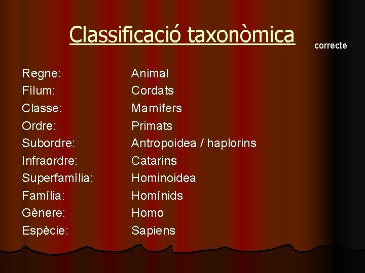 Classificació taxonòmica Regne: Fílum: Classe: Ordre: Subordre: Infraordre: Superfamília: Família: Gènere: Espècie: Animal Cordats