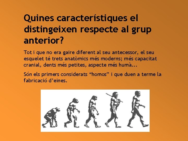 Quines característiques el distingeixen respecte al grup anterior? Tot i que no era gaire