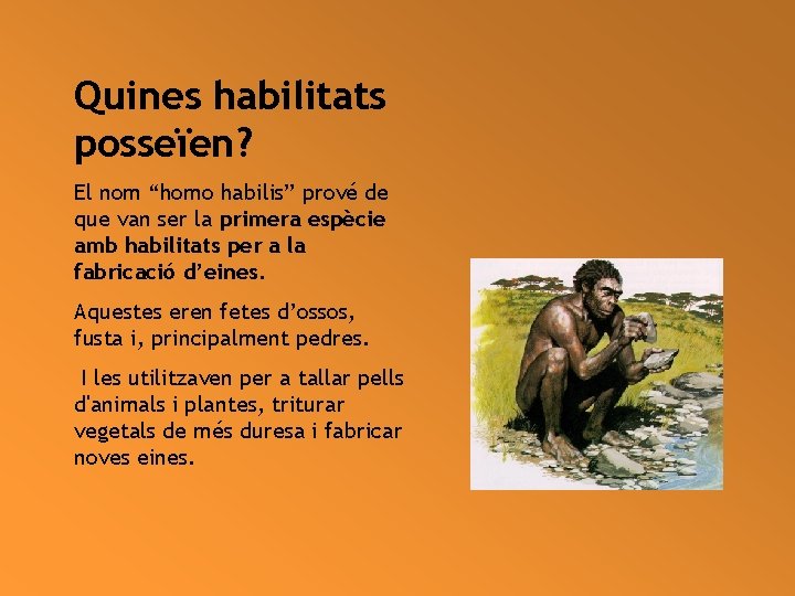 Quines habilitats posseïen? El nom “homo habilis” prové de que van ser la primera