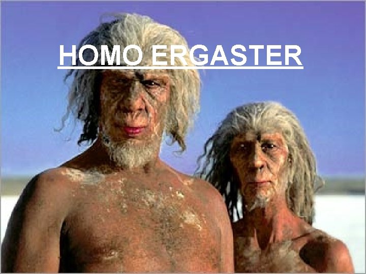 HOMO ERGASTER 