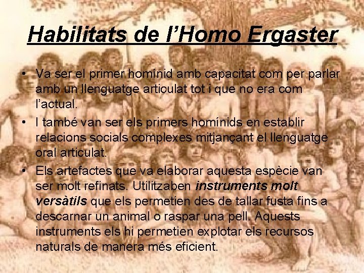 Habilitats de l’Homo Ergaster • Va ser el primer homínid amb capacitat com per