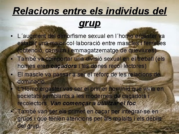 Relacions entre els individus del grup • L´augment del dimorfisme sexual en l´homo ergaster