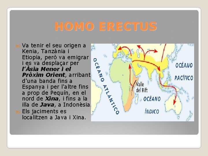 HOMO ERECTUS Va tenir el seu origen a Kenia, Tanzània i Etiopia, però va