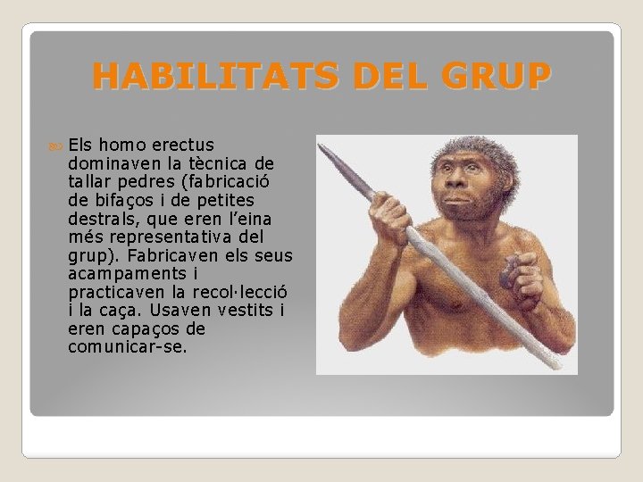 HABILITATS DEL GRUP Els homo erectus dominaven la tècnica de tallar pedres (fabricació de