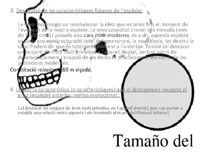 3. Descripció de les característiques físiques de l’espècie: La seva morfologia va revolucionar la