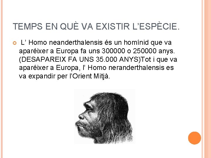 TEMPS EN QUÈ VA EXISTIR L’ESPÈCIE. L’ Homo neanderthalensis és un homínid que va