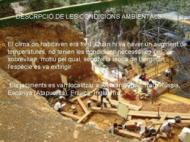 DESCRPCIÓ DE LES CONDICIONS AMBIENTALS El clima on habitaven era fred. Quan hi va