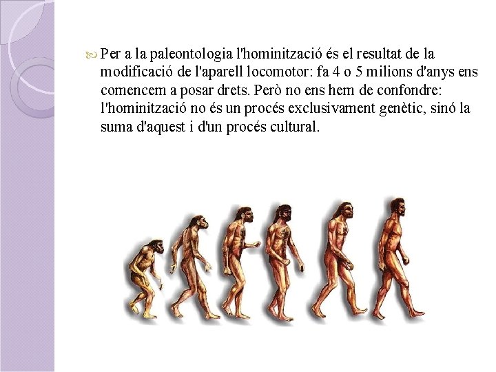  Per a la paleontologia l'hominització és el resultat de la modificació de l'aparell