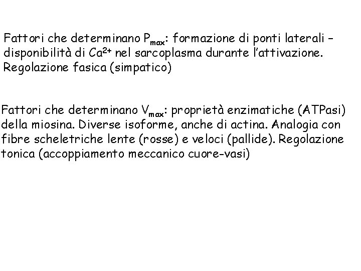 Fattori che determinano Pmax: formazione di ponti laterali – disponibilità di Ca 2+ nel