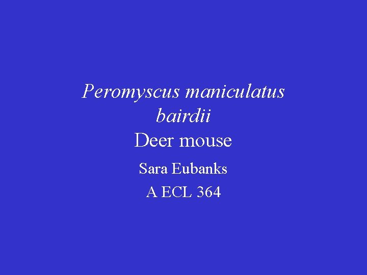 Peromyscus maniculatus bairdii Deer mouse Sara Eubanks A ECL 364 