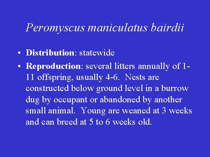 Peromyscus maniculatus bairdii • Distribution: statewide • Reproduction: several litters annually of 111 offspring,