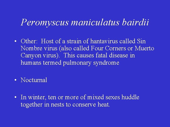 Peromyscus maniculatus bairdii • Other: Host of a strain of hantavirus called Sin Nombre
