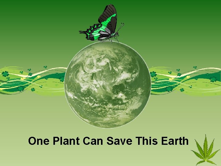 One Plant Can Save This Earth 