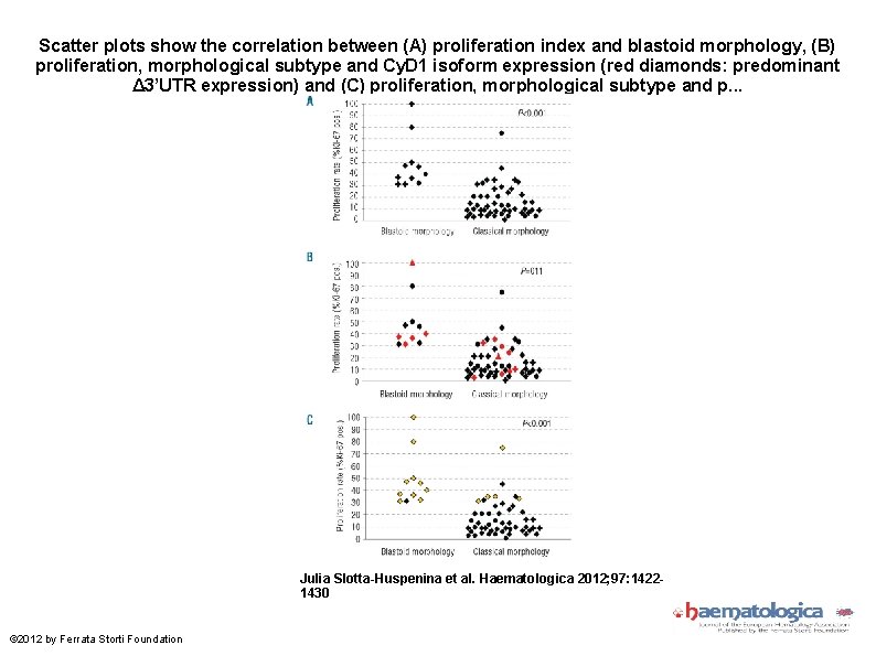 Scatter plots show the correlation between (A) proliferation index and blastoid morphology, (B) proliferation,