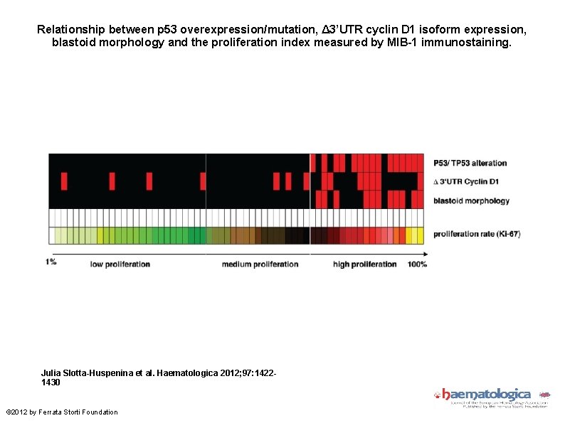 Relationship between p 53 overexpression/mutation, Δ 3’UTR cyclin D 1 isoform expression, blastoid morphology